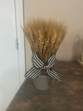 Dried Wheat Bundle with Striped Bow - Neutral Decor small great for fall